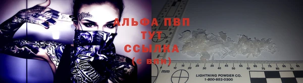 гидра Алексеевка