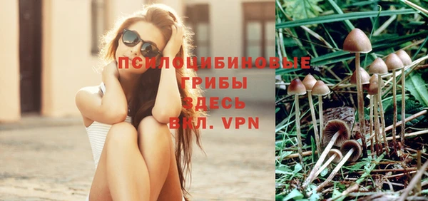 прущие грибы Алексин