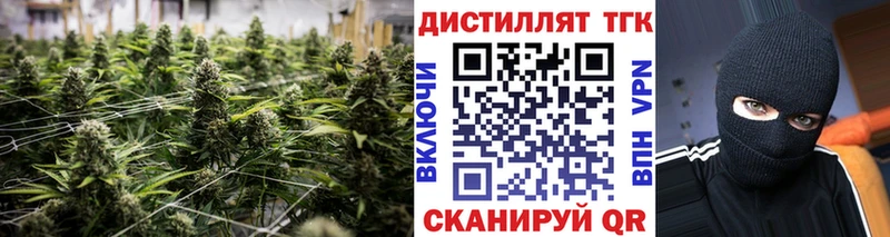 мега как зайти Томари Дистиллят ТГК жижа наркотики