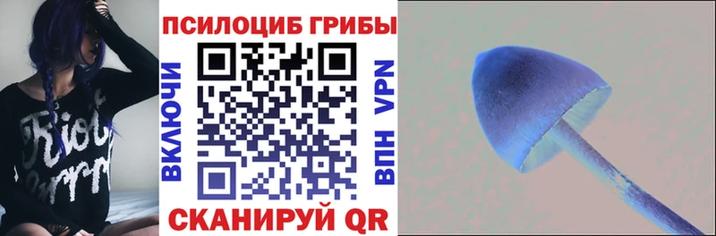 kraken как войти Томари Псилоцибиновые грибы прущие грибы наркошоп